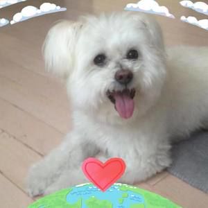 Meet your Posher, Joan